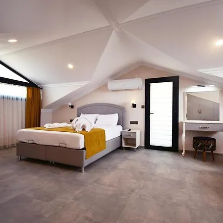 Desen 1 Villa *